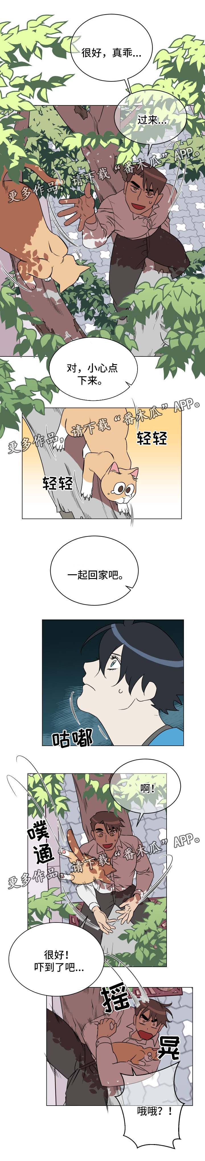 年下策略漫画,第32章：救猫2图