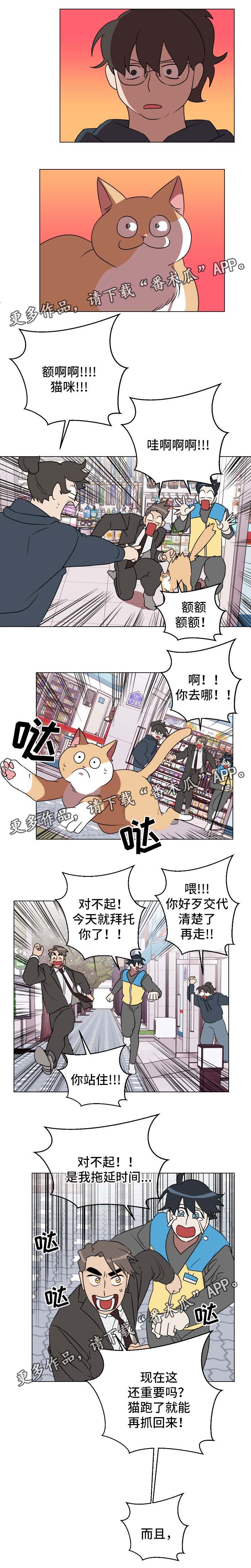 年下策略漫画,第31章：有意思5图