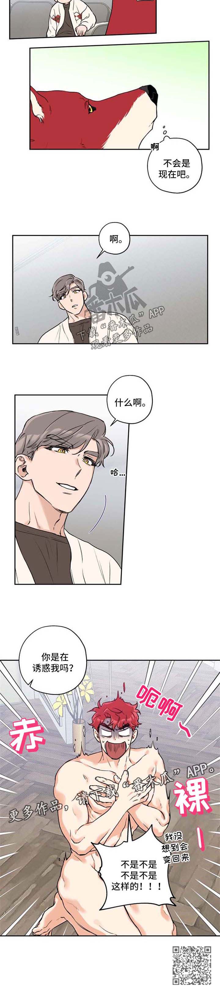 赤狼漫画,第35章：不想分开2图