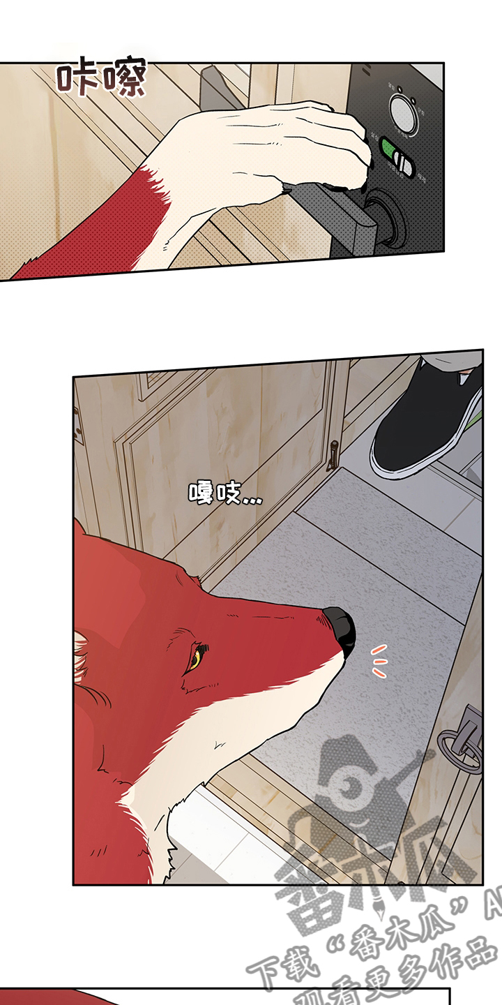 赤狼漫画,第93章：出去走走吧5图