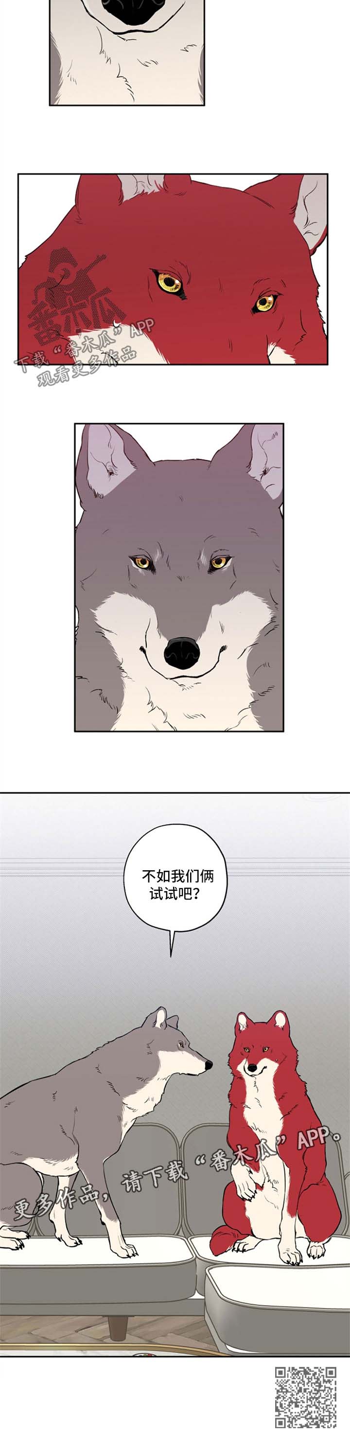 赤狼漫画,第34章：不如我们俩试试5图