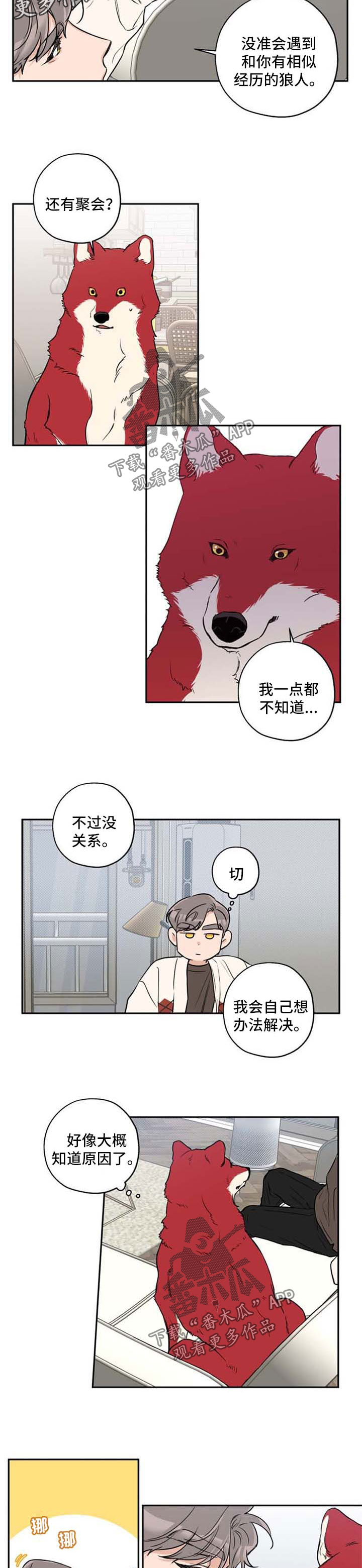 赤狼漫画,第35章：不想分开5图