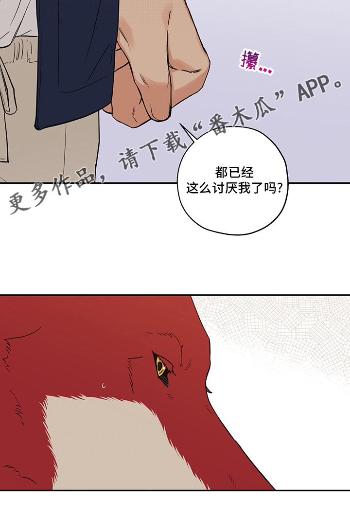 赤狼漫画,第93章：出去走走吧2图