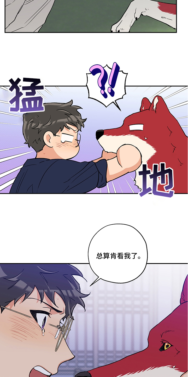 赤狼漫画,第94章：不要抛弃我1图