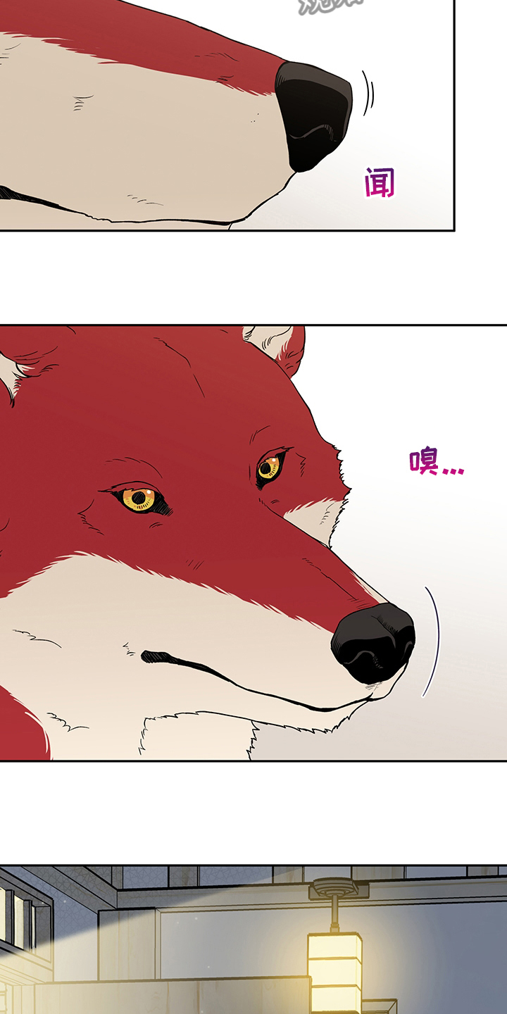 赤狼漫画,第93章：出去走走吧1图