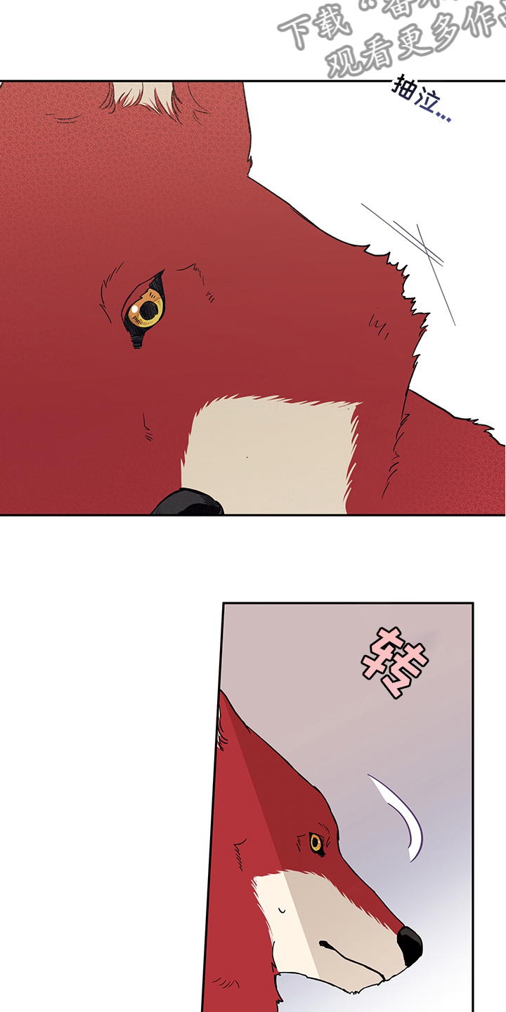 赤狼漫画,第94章：不要抛弃我3图