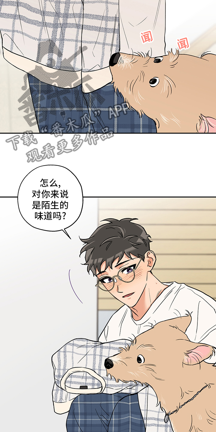 赤狼漫画,第90章：味道4图