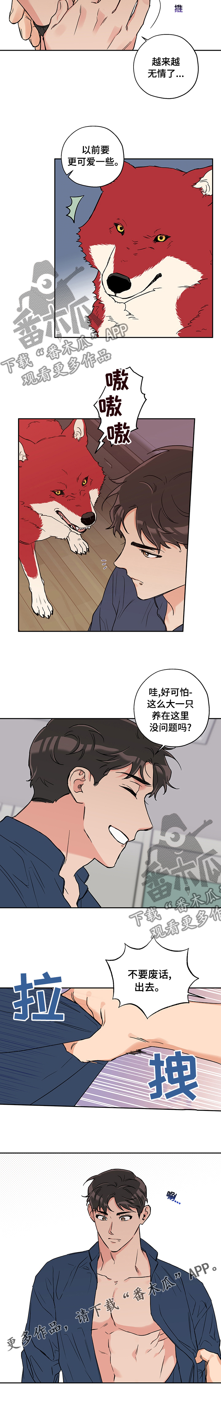 赤狼漫画,第77章：没办法放弃你3图