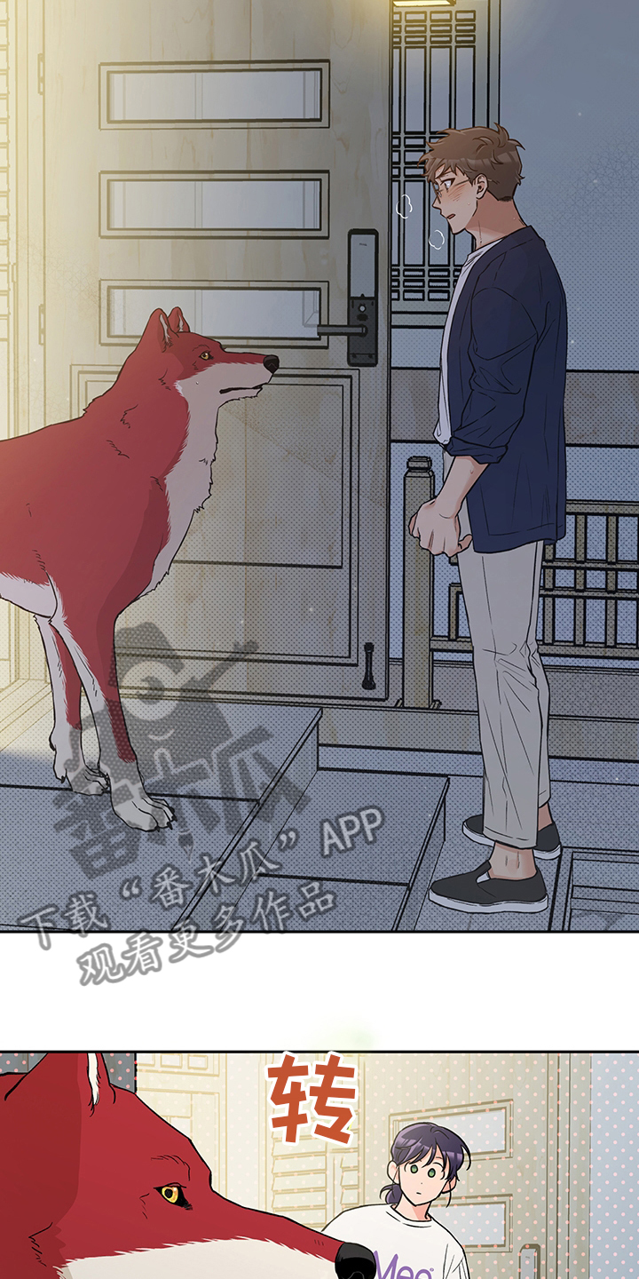 赤狼漫画,第93章：出去走走吧2图