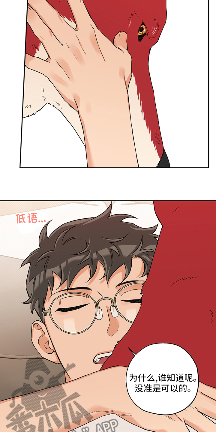 赤狼漫画,第100章：一辈子（第二季完结）4图
