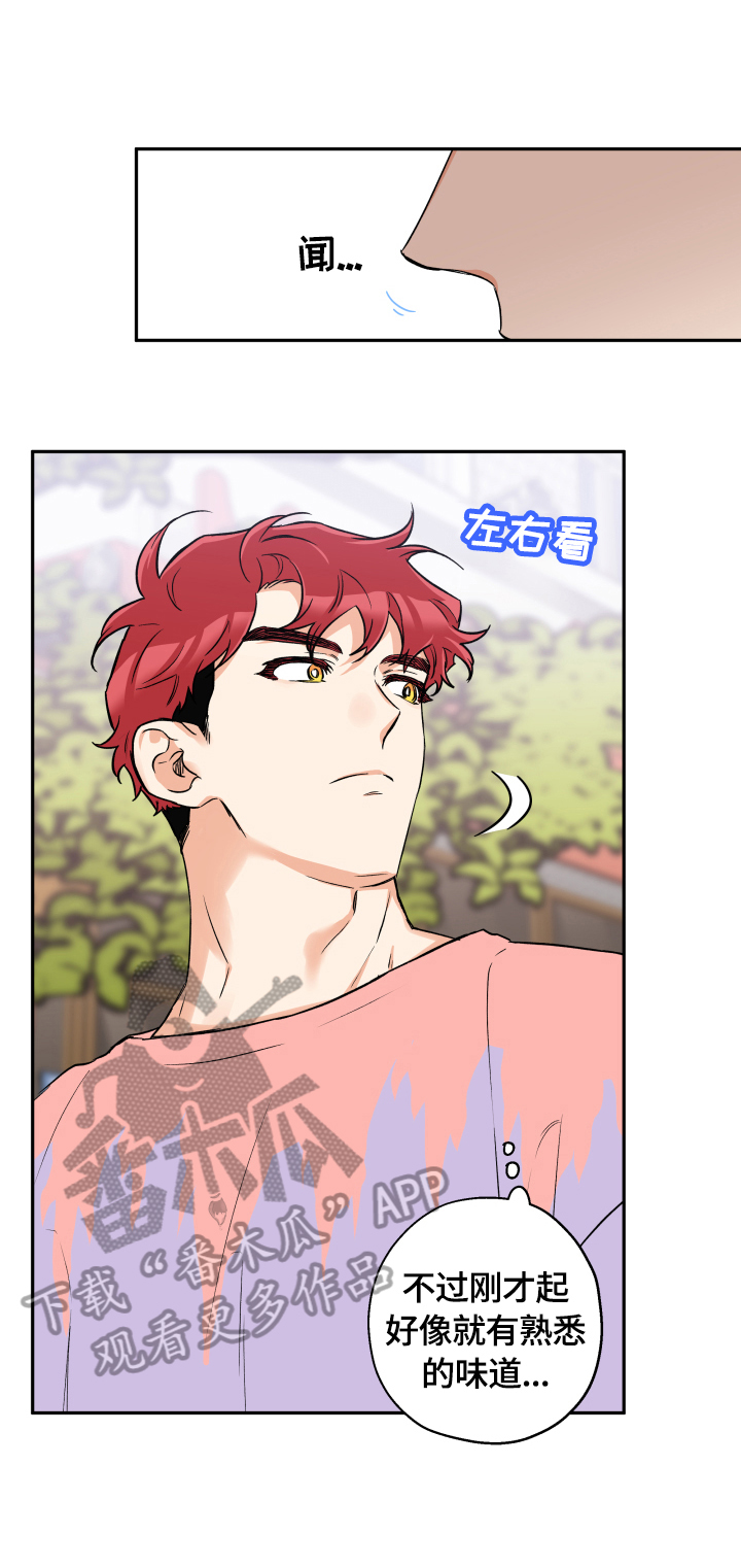 赤狼漫画,第46章：一直很漂亮1图