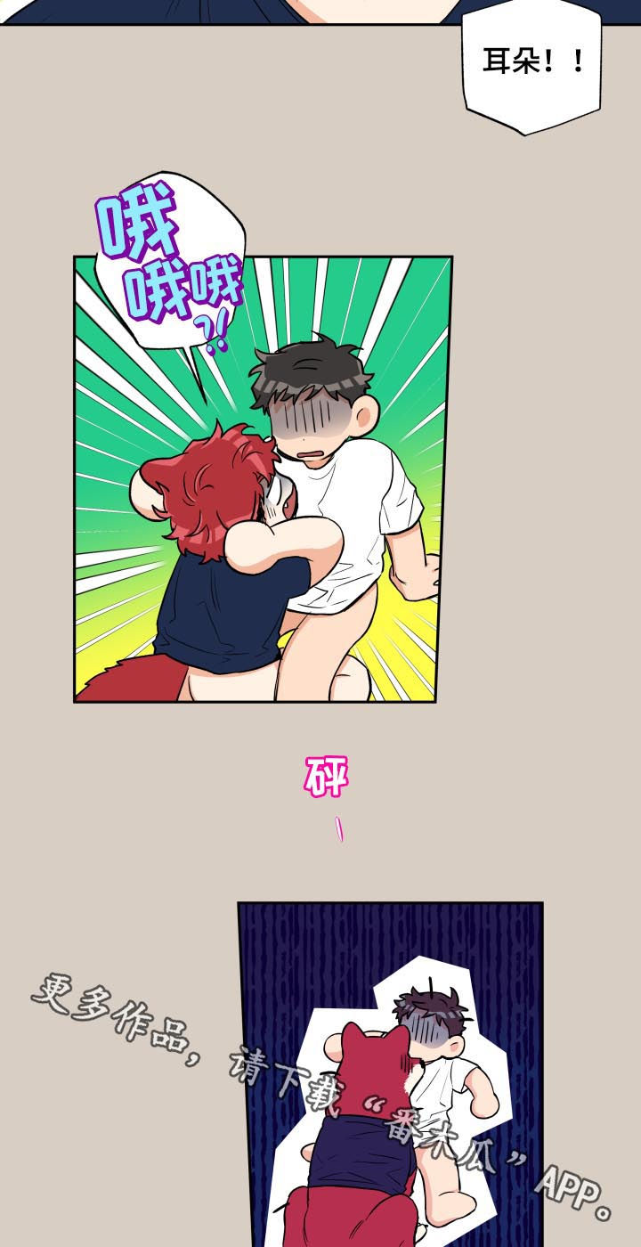 赤狼漫画,第58章：你现在很像狗4图