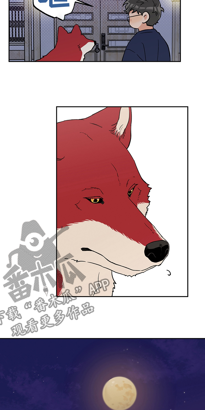 赤狼漫画,第93章：出去走走吧4图