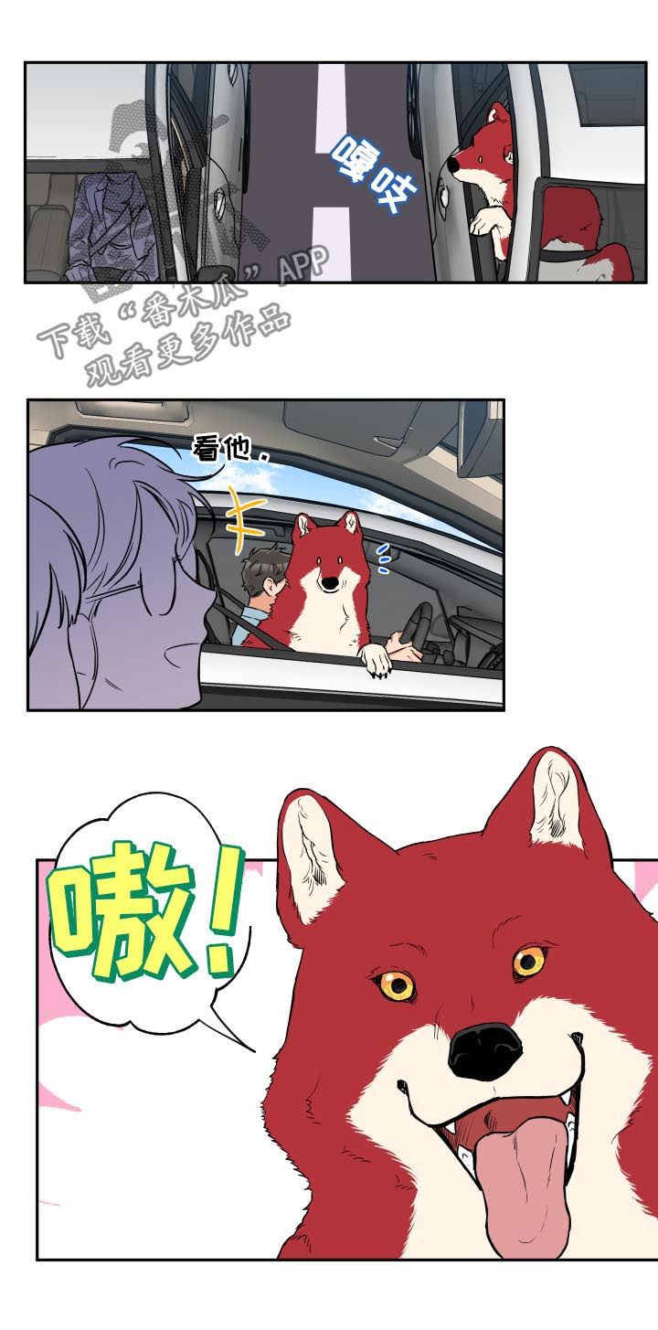 赤狼漫画,第58章：你现在很像狗2图