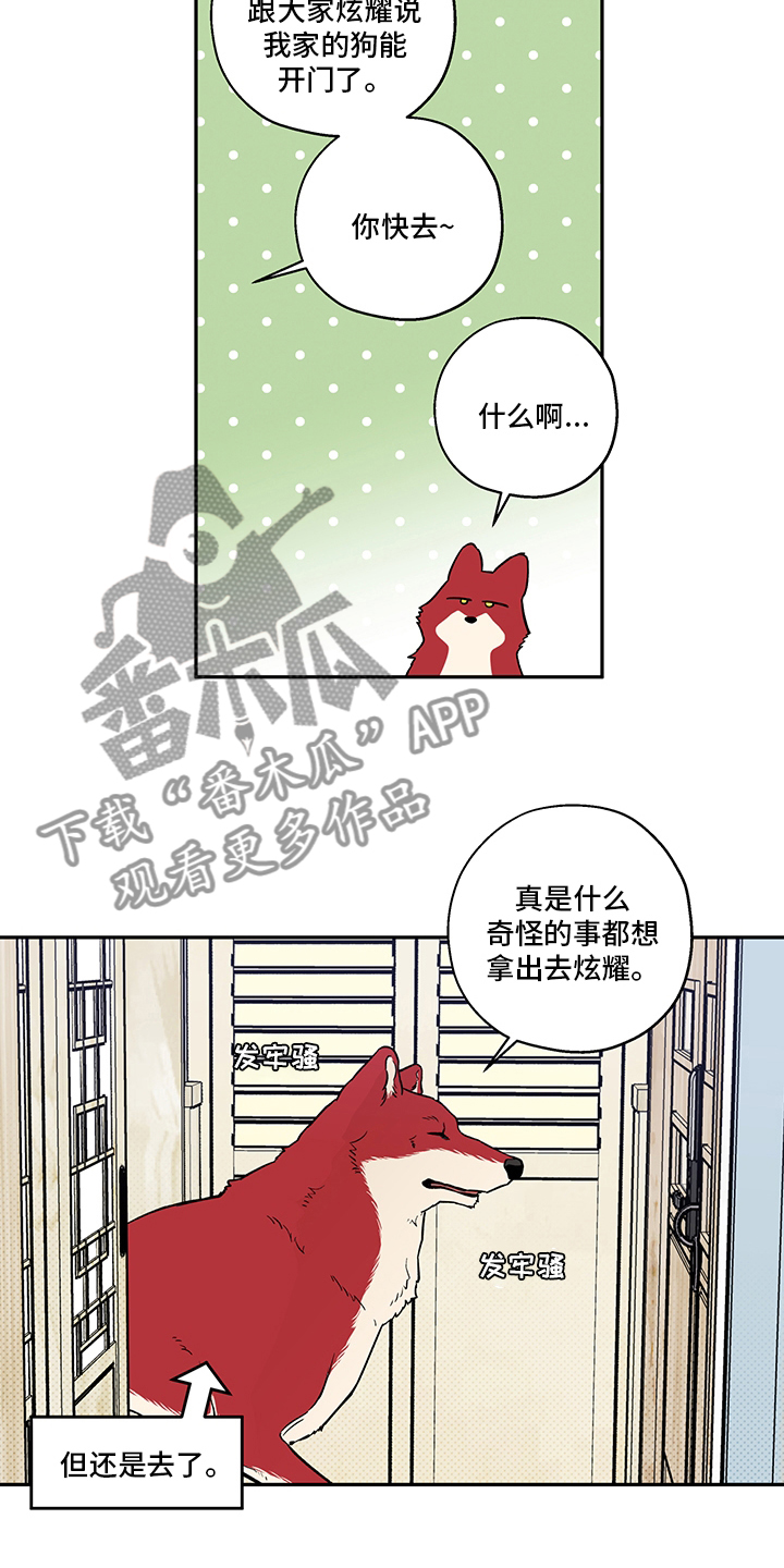 赤狼漫画,第93章：出去走走吧4图