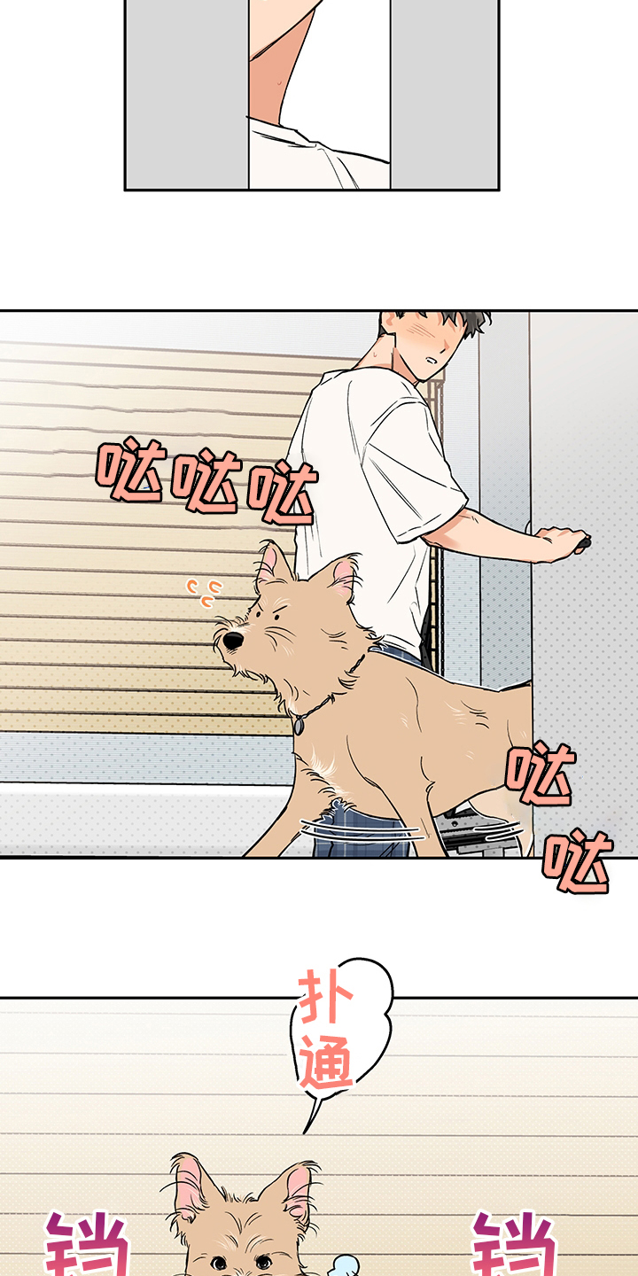 赤狼漫画,第89章：酱汤5图