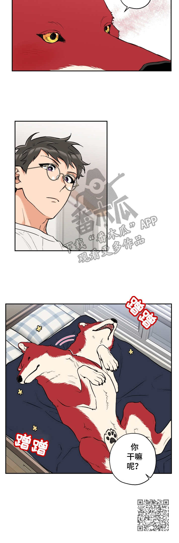 赤狼漫画,第31章：滚来滚去5图