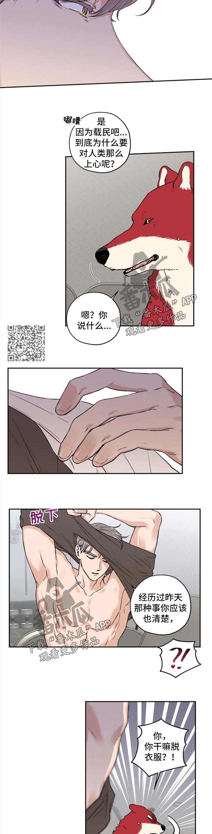 赤狼漫画,第34章：不如我们俩试试3图