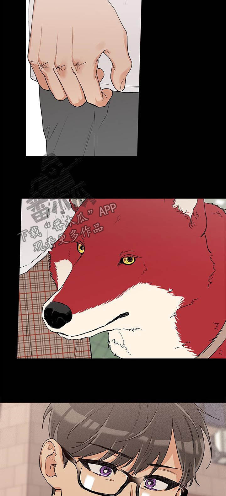 赤狼漫画,第69章：让我靠一会1图