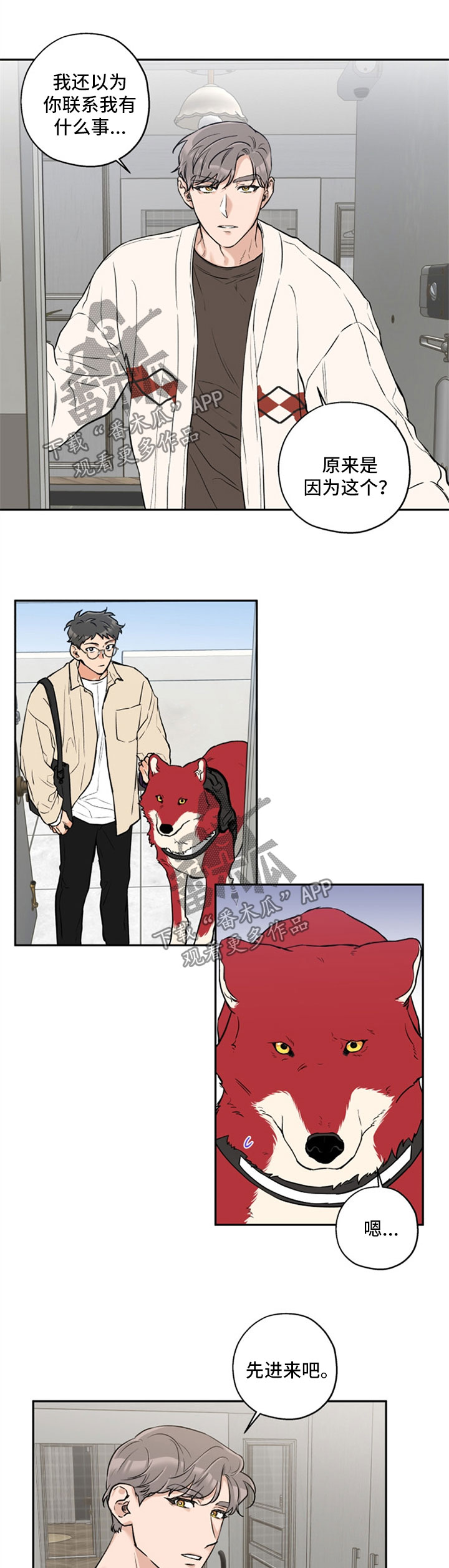 赤狼漫画,第33章：变不回人1图