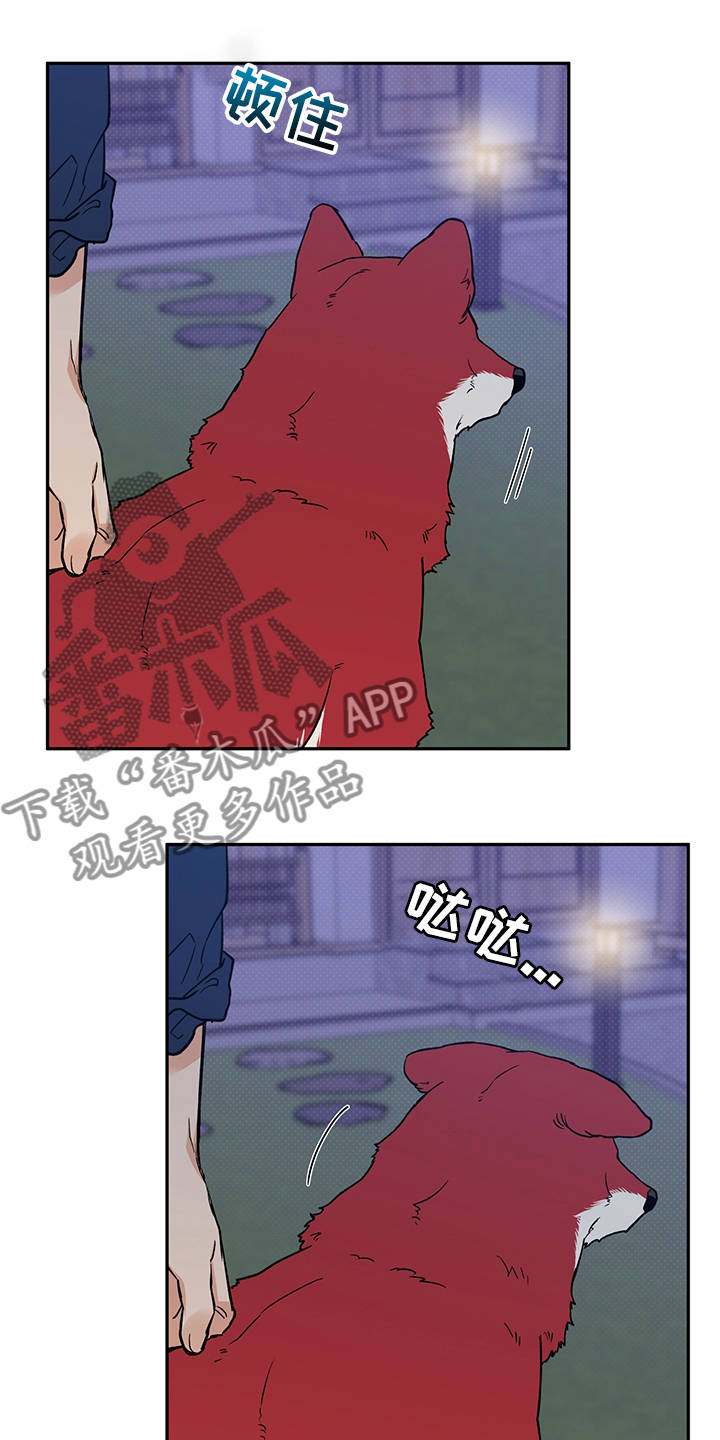 赤狼漫画,第93章：出去走走吧5图
