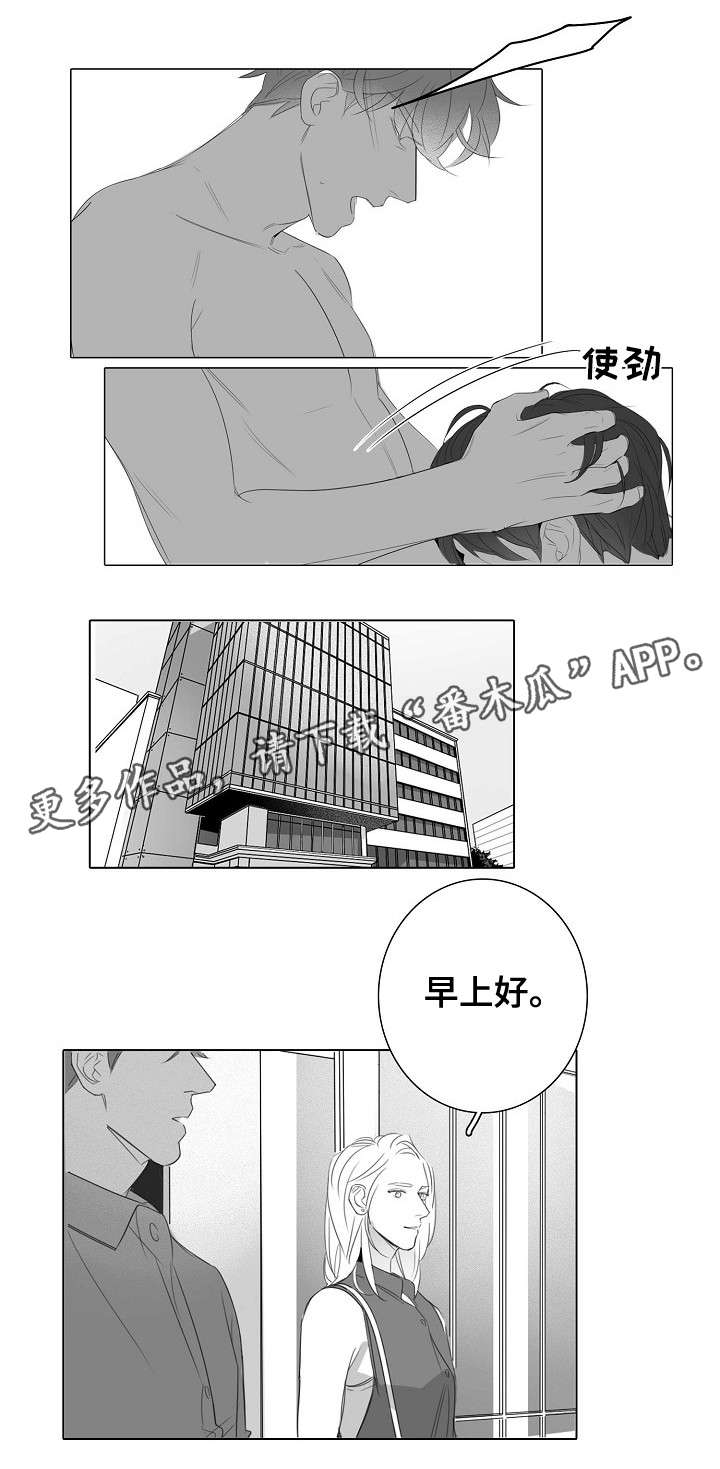 职场伪装漫画,第30章：外勤1图