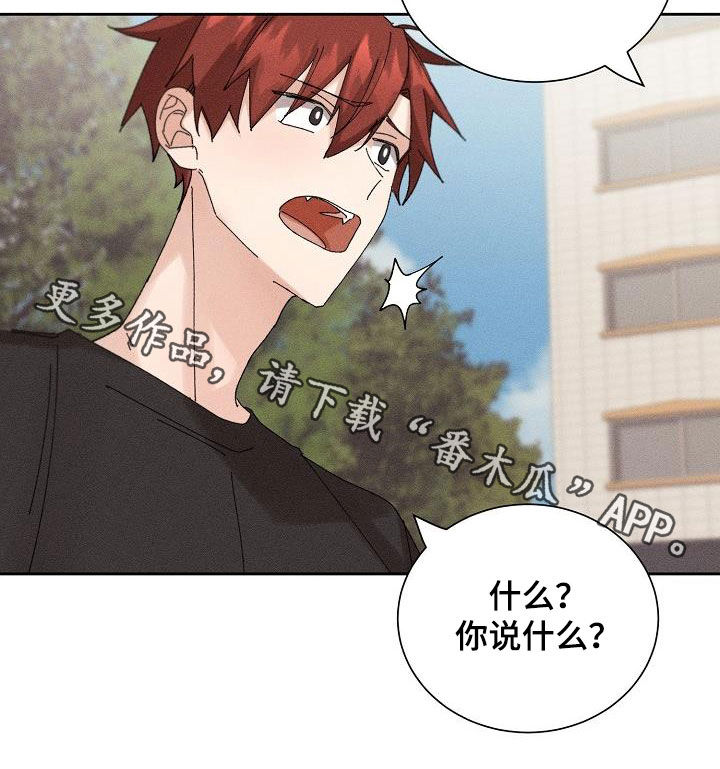 失忆陷阱漫画,第23章：快递4图