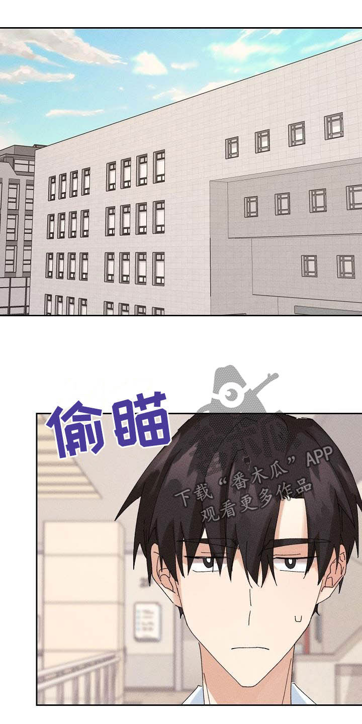 失忆陷阱漫画,第18章：因为我爱你1图