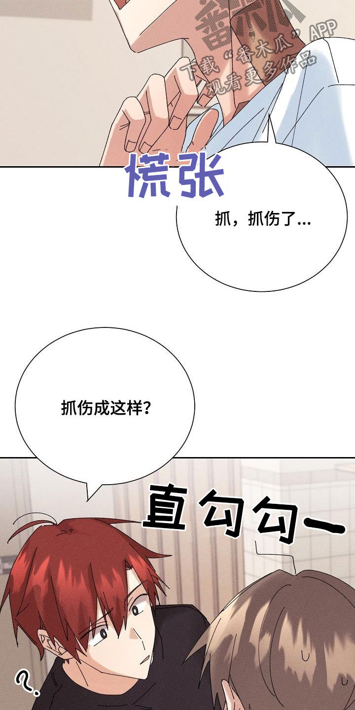 失忆陷阱漫画,第21章：少管闲事3图
