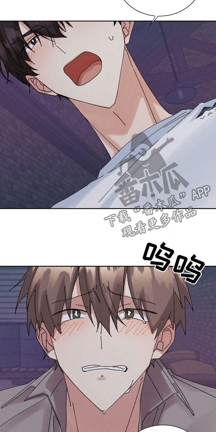 失忆陷阱漫画,第39章：心意1图