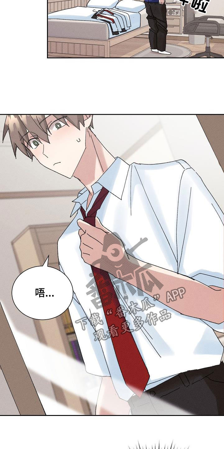 失忆陷阱漫画,第43章：【番外】准备惊喜3图