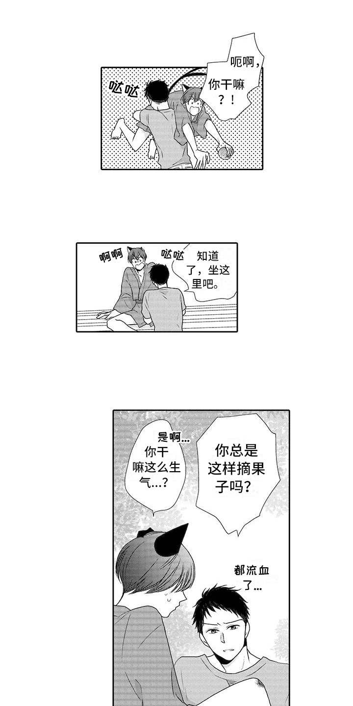 山神是猫妖漫画,第3章：摘果子2图