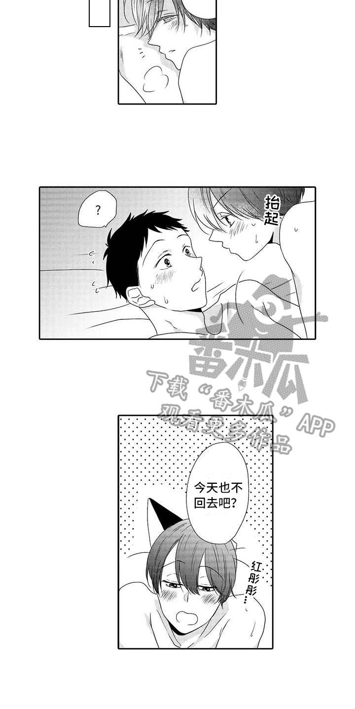 山神是猫妖漫画,第22章：还会留下（完结）4图