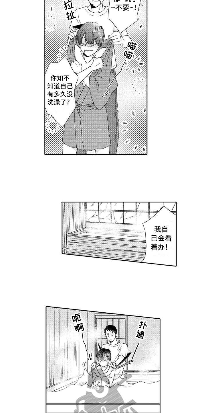 山神是猫妖漫画,第6章：照顾4图