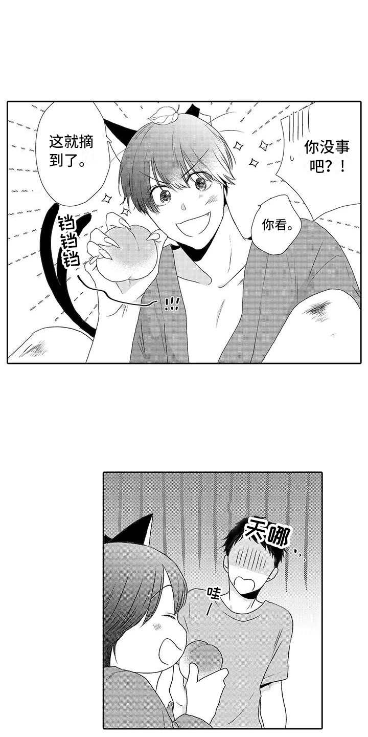 山神是猫妖漫画,第3章：摘果子1图