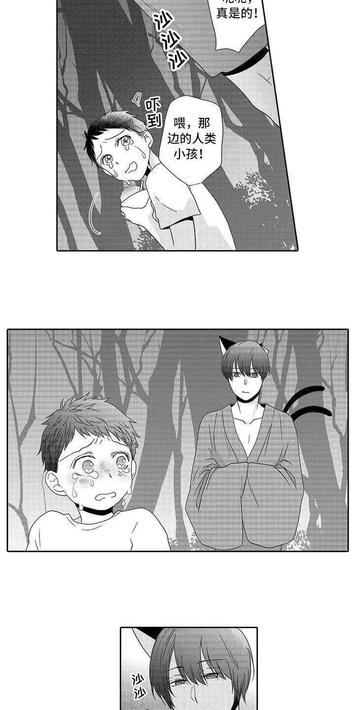 山神是猫妖漫画,第12章：曾经见过3图
