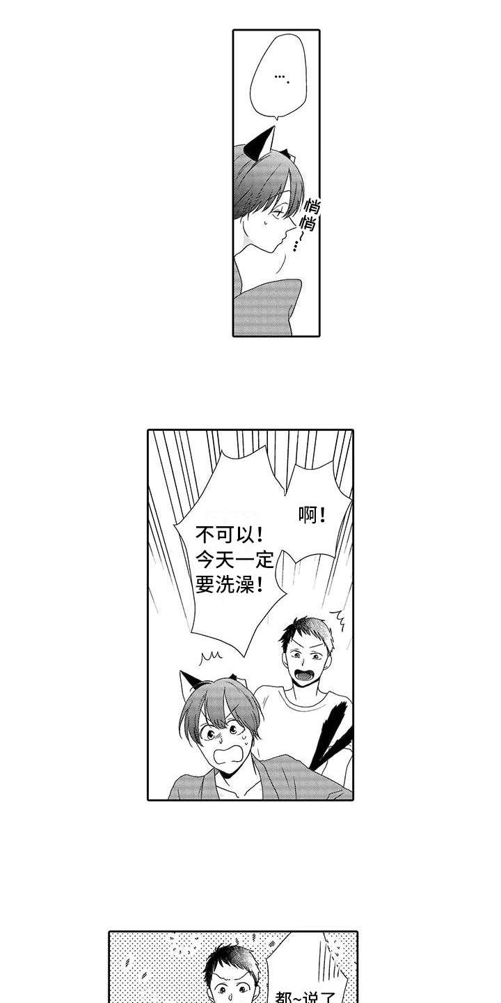 山神是猫妖漫画,第6章：照顾3图
