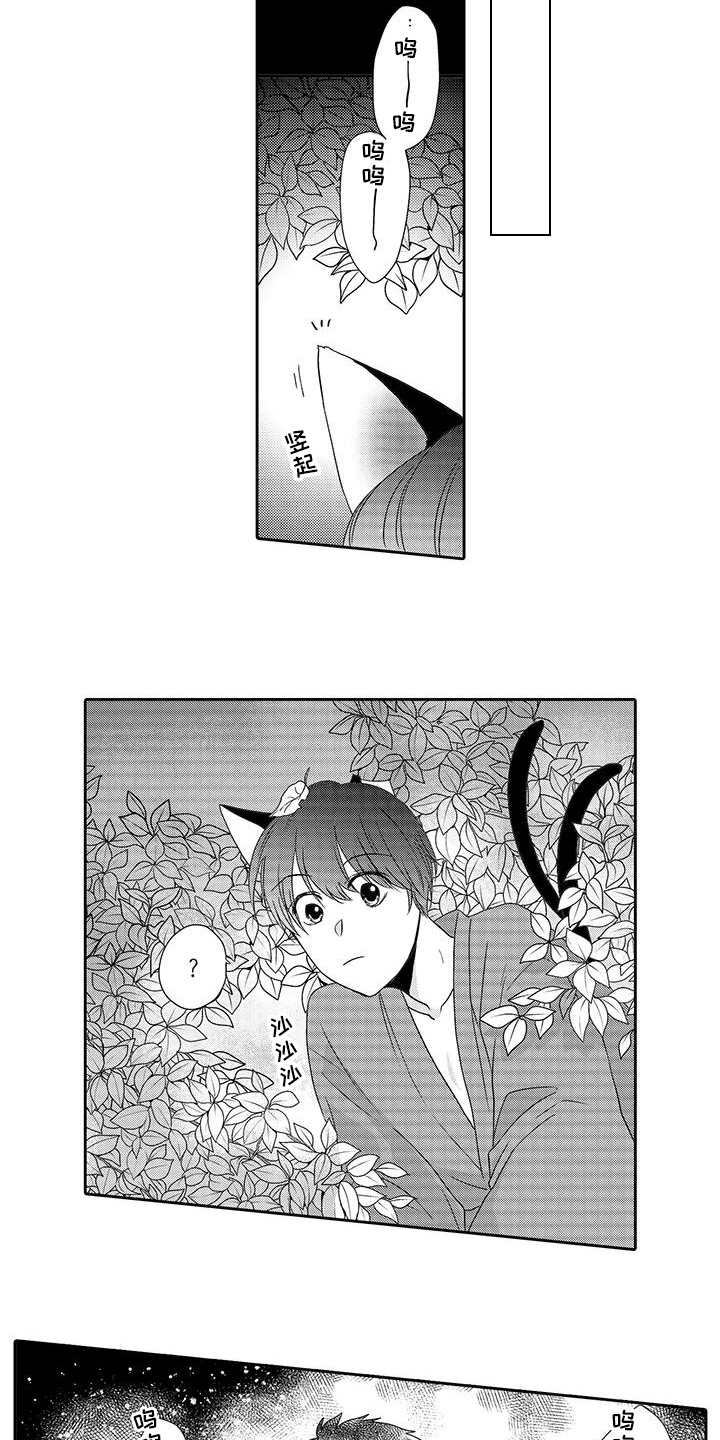 山神是猫妖漫画,第12章：曾经见过3图