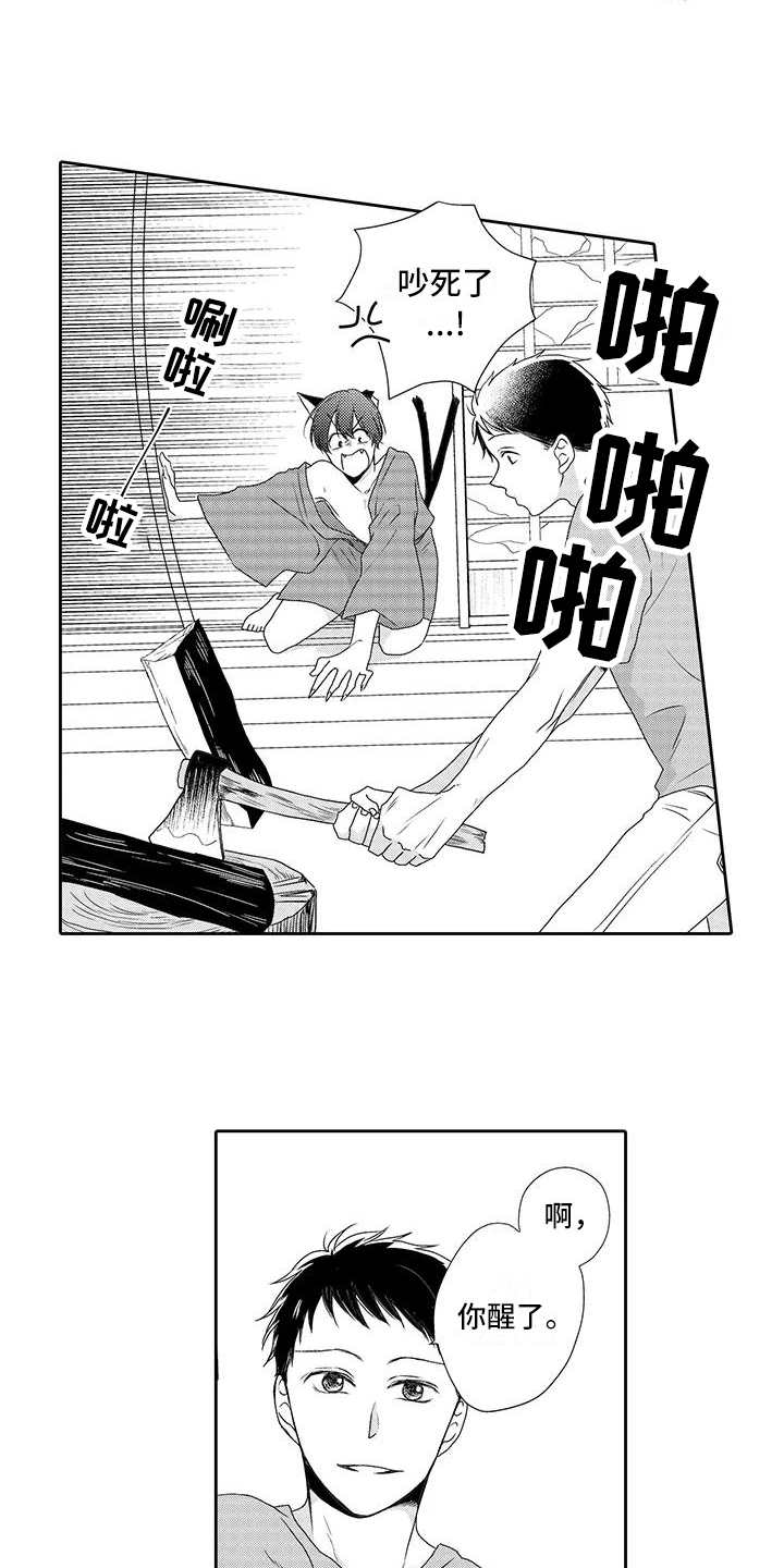 山神是猫妖漫画,第3章：摘果子2图