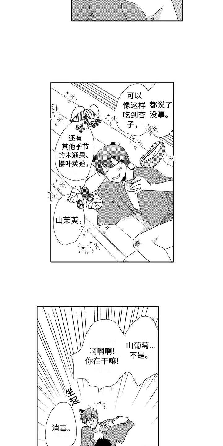 山神是猫妖漫画,第3章：摘果子3图