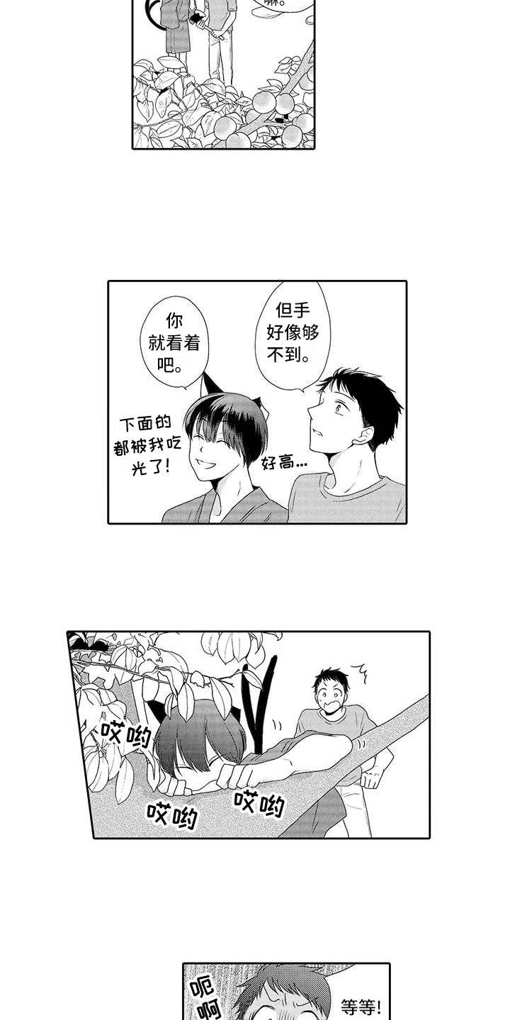 山神是猫妖漫画,第3章：摘果子4图