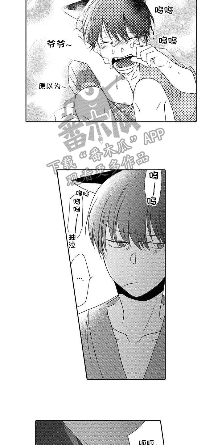 山神是猫妖漫画,第12章：曾经见过2图