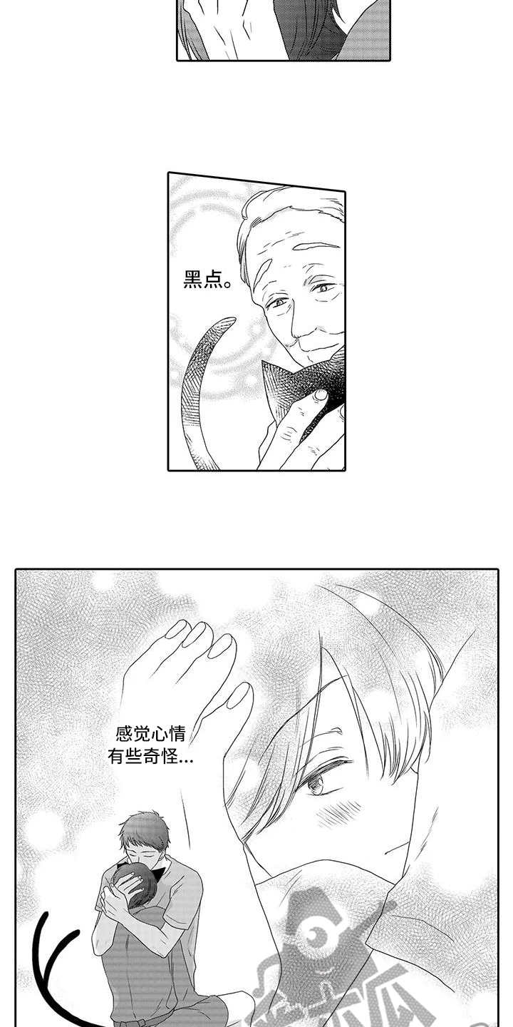 山神是猫妖漫画,第4章：心情奇怪3图