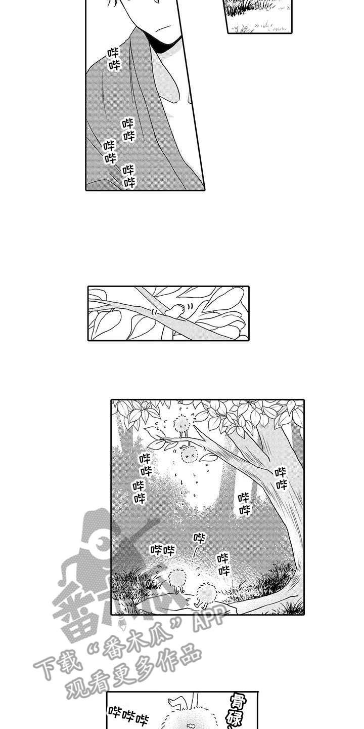 山神是猫妖漫画,第7章：小精灵1图