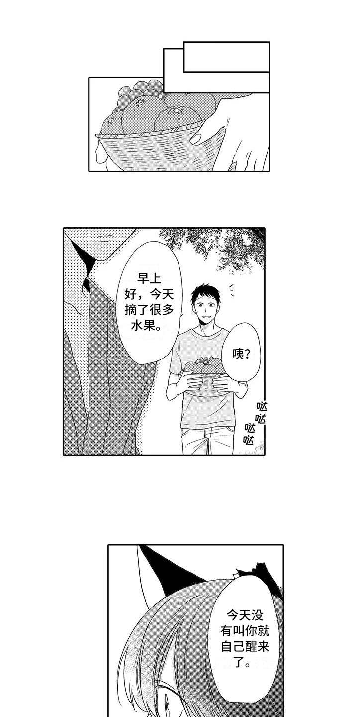 山神是猫妖漫画,第7章：小精灵3图