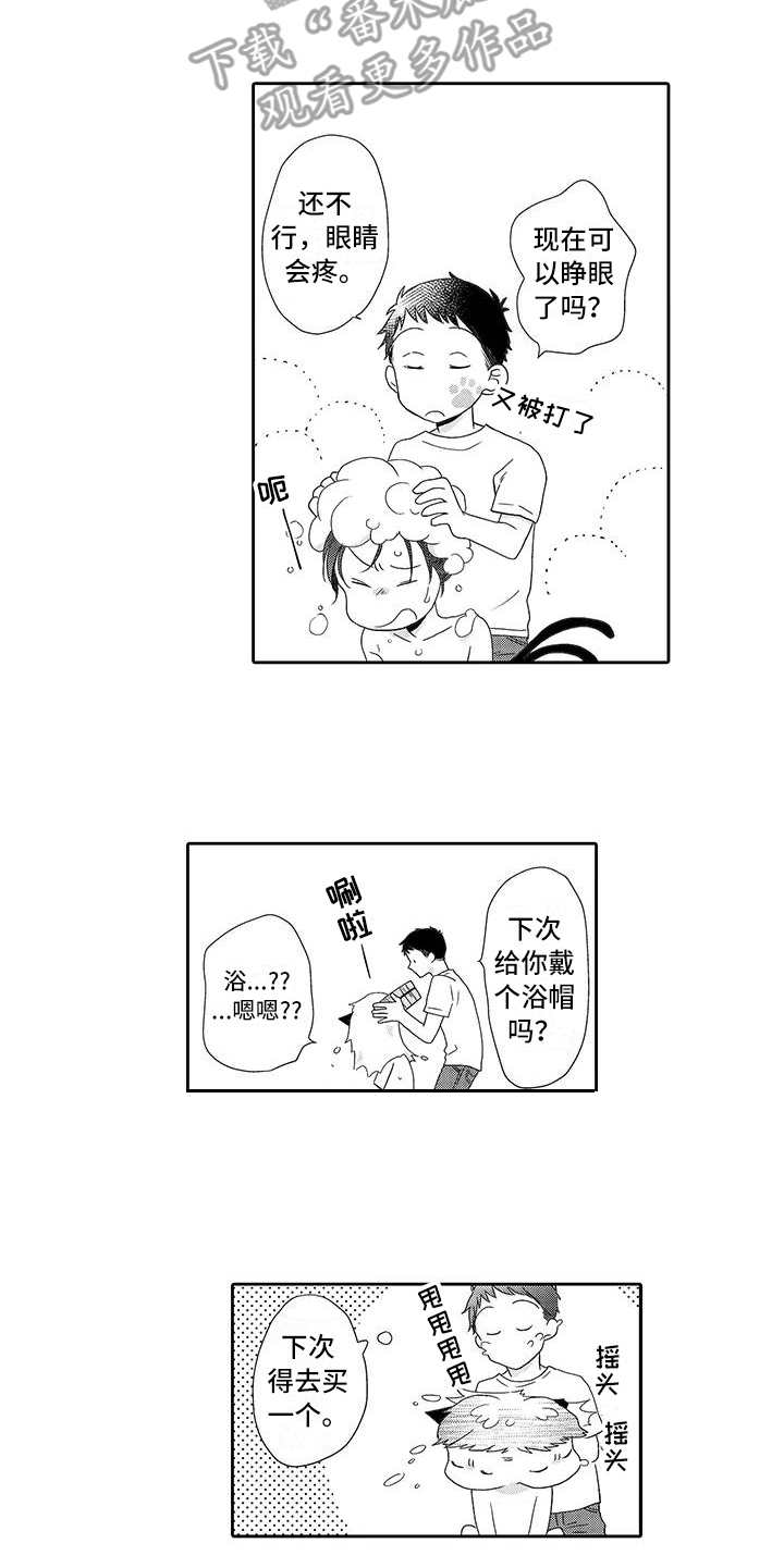 山神是猫妖漫画,第6章：照顾2图