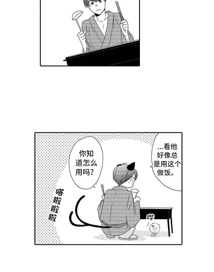 山神是猫妖漫画,第16章：暖和3图