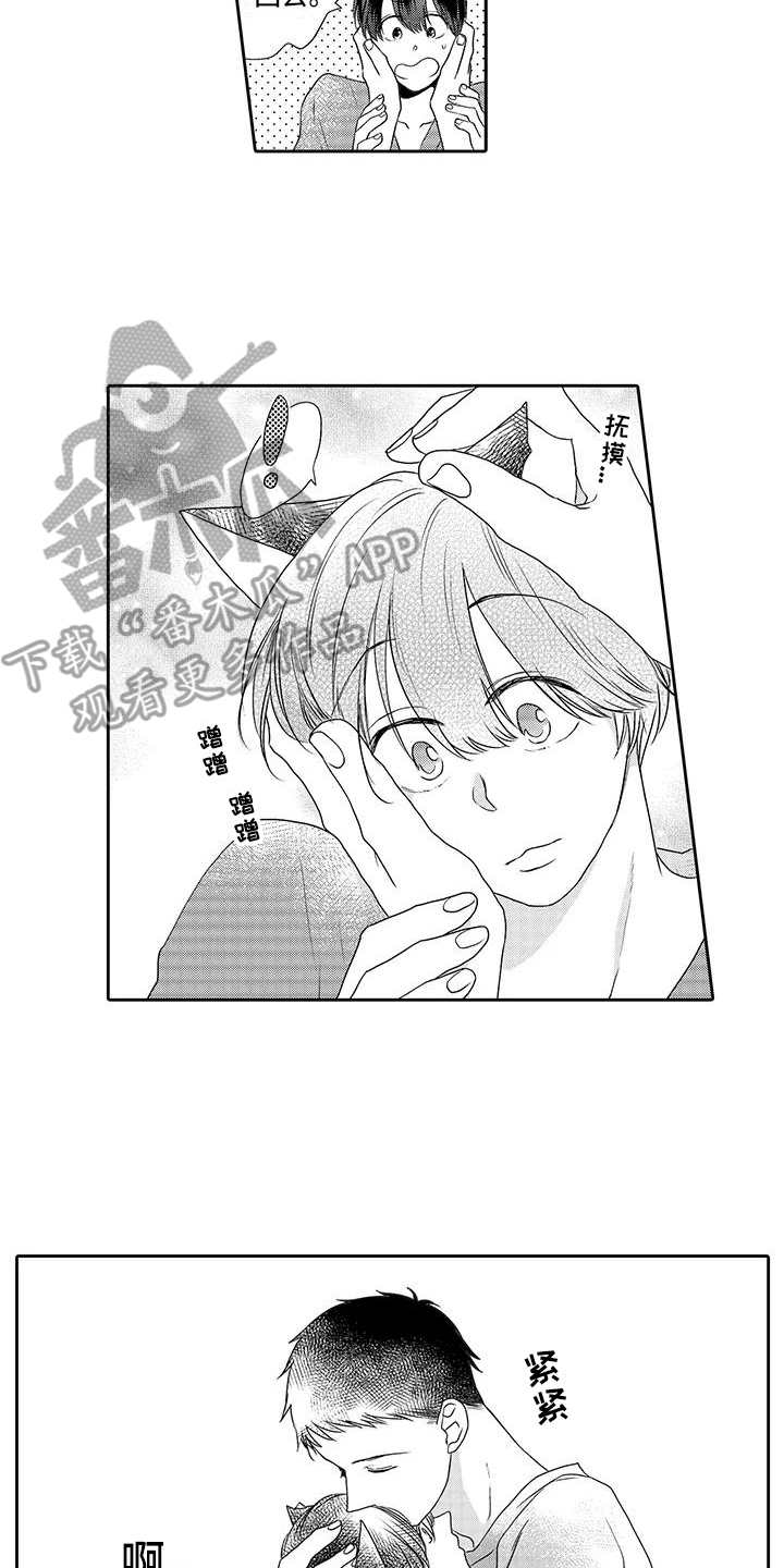 山神是猫妖漫画,第4章：心情奇怪1图