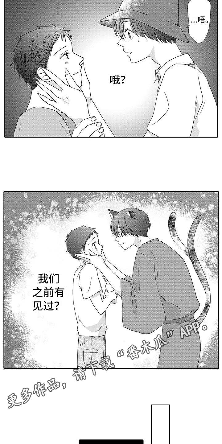 山神是猫妖漫画,第12章：曾经见过2图