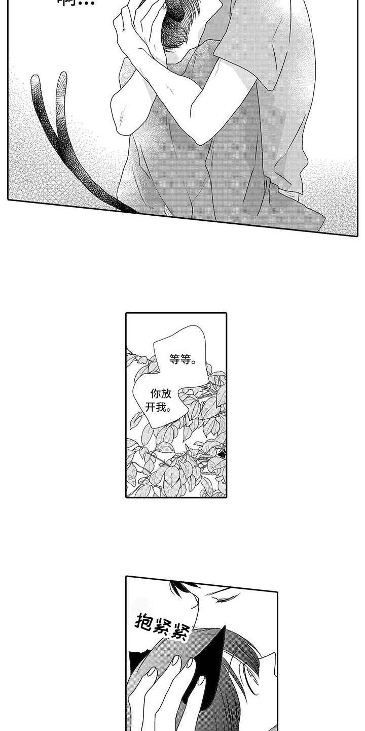 山神是猫妖漫画,第4章：心情奇怪2图